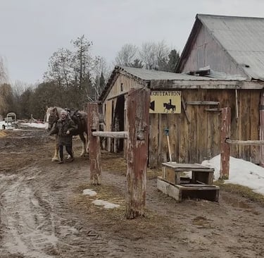 a horse leaving barn