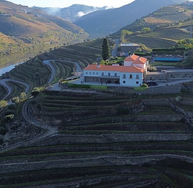 Paisagem do Vale do Douro com quinta e rio vista panorâmica