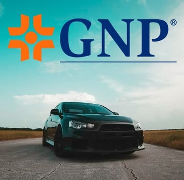 Seguro para visitantes a mexico GNP