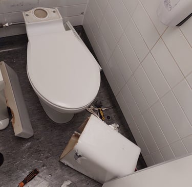 Toilet leak repair-East London