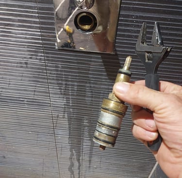 shower repair walthamstow