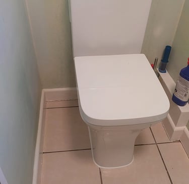 toilet repair in Stratford