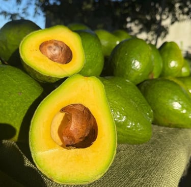 Fresh halved ripe avocados with seeds on a table, displaying vibrant green and yellow pulp.