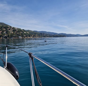 journee-bateau-prive