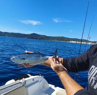 journee-peche-bormes-les-mimosas