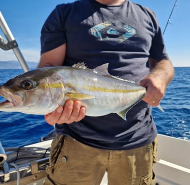 sortie-peche-mediterranee