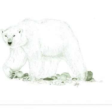 polar bear 6''X9''