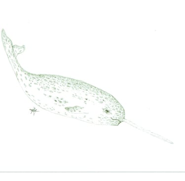 descending narwhal 6''X9''