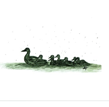 ducks 6''X9''