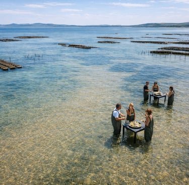 vue des parcs ostréicoles accessibles à marée basse pour une expérience d’ostréiculture immersive