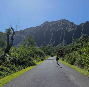 Kushal Purie walks on an open road in O'ahu island