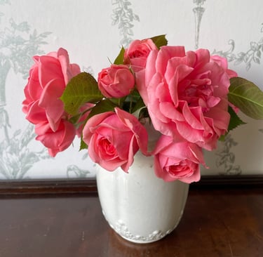 Home grown roses