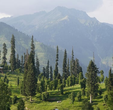 Arang kel neelum valley