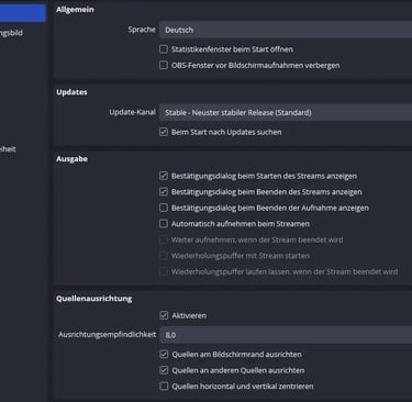 Screenshot of OBS Studio general settings menu in German showing update and output options.