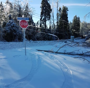 a stop sign covered in ice on a snow covered side road. There is caution tape tied from the sign to the fallen tree beside it