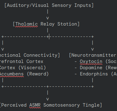 An Graph Showcasing How The Brain Processes Inputs.