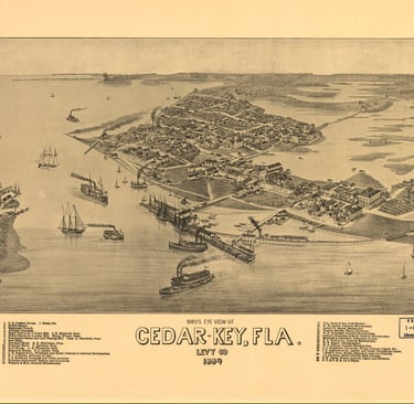 A bird’s eye view of the Cedar Keys, with Atsena Otie Key at left, in 1884.