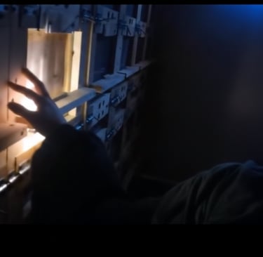 BeePolis. The Hive at night