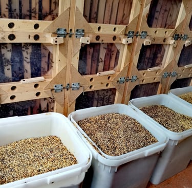 BeePolis. Pollen collection. A box of pollen. A lot of pollen