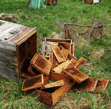 Security: Protecting Your Passion and Your Harvest