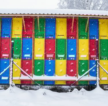 BeePolis. The beehive in winter. A beehive under the snow. Bee Pavilion