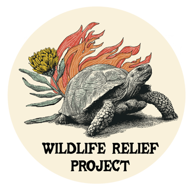 wildlife relief project logo with tortoise escaping flames and a protea flower