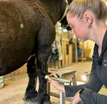 En hesteterapeut på Bornholm leder en hest gennem øvelser for helbredelse