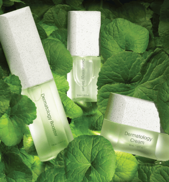 3 glass bottles containing Korean Skin Care products surrounded by green leaves