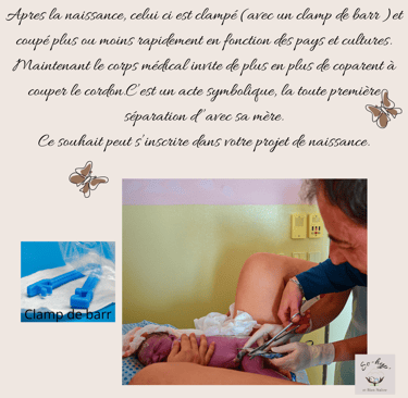 le cordon ombilical