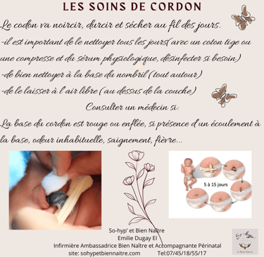 le cordon ombilical