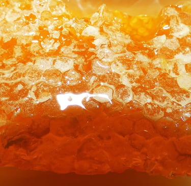 Close-up of golden raw honeycomb dripping with fresh organic honey.