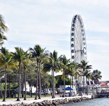 Roda-gigante branca e fileira de palmeiras à beira-mar em Miami