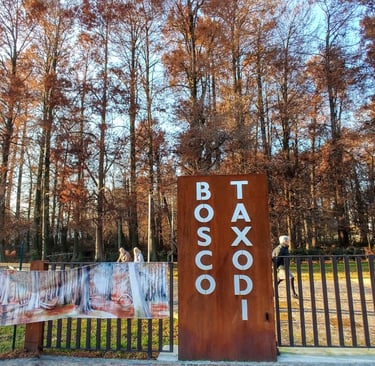 Bosco Taxodi Paratico