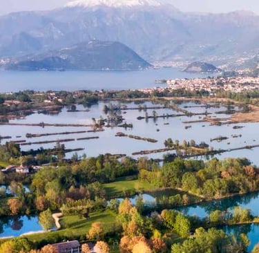 Le Torbiere del Sebino 