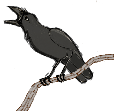 erzsi palko, hawaiian crow, alala, hawaii