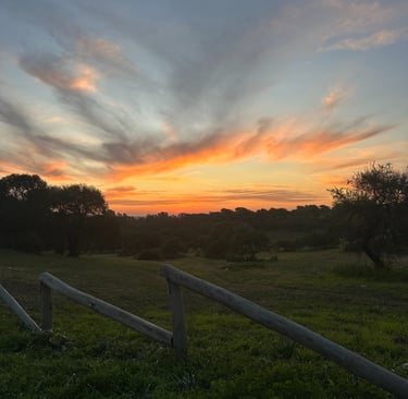 atardecer postal en la colina victoria entre rios 