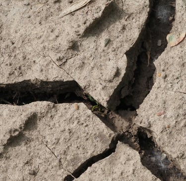 the image of land liquefaction early stage