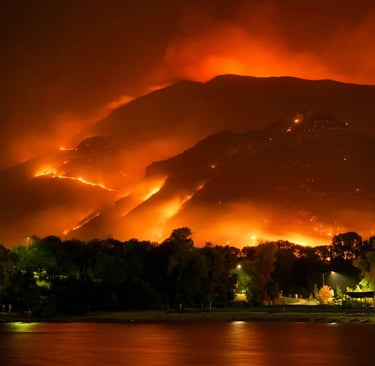 the image of wildfire