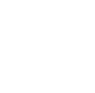 Logo Rexi Travel blanco sin fondo