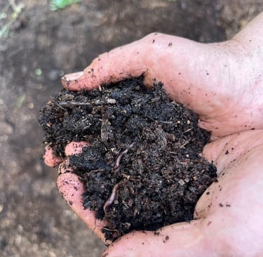 garden compost and worm castings 