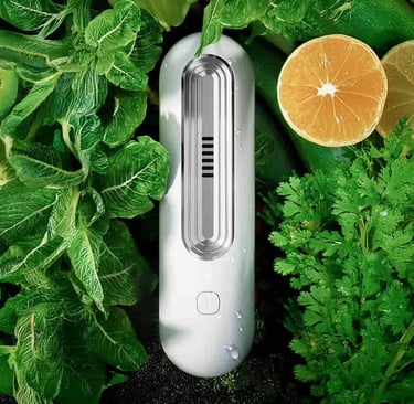 Dispositivo intelligente Ozoori per eliminare odori e batteri dal frigorifero e mantenere i cibi fre