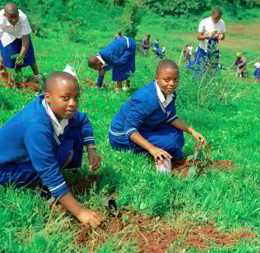 Lycée Wima, élèves plantant des arbres, journéé mondiale de l'arbre 2025
