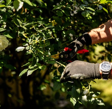  Commercial  Irrigation Repairs