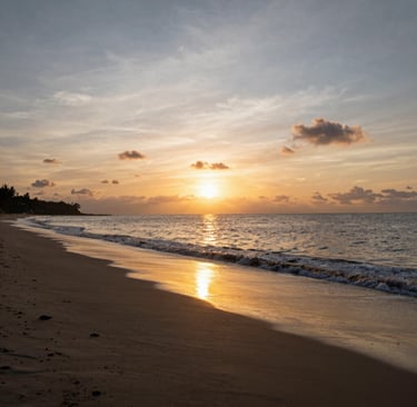 Cozy workspace with crochet hooks and handmade bags displayed.