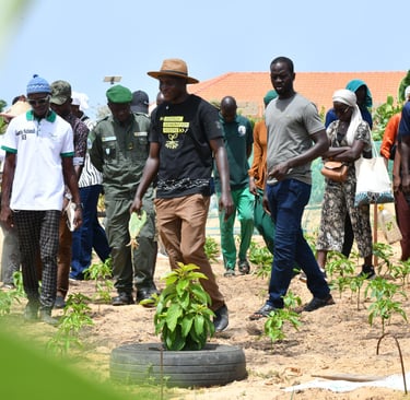 Équipe en formation. Groupe de personnes en formation et visite guidée sur les techniques agricoles
