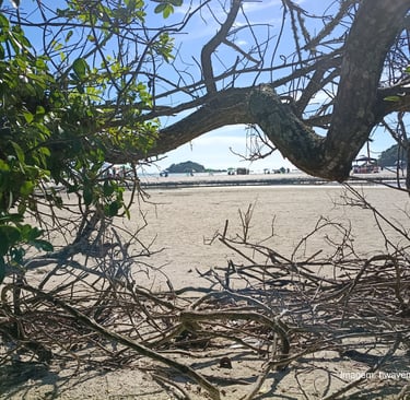 amanhecer na praia no acampamento na praia de palmas em governador celso ramos