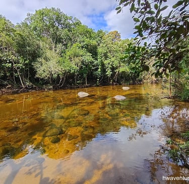 Água cristalina e Mata Preservada na Vargem do Braço
