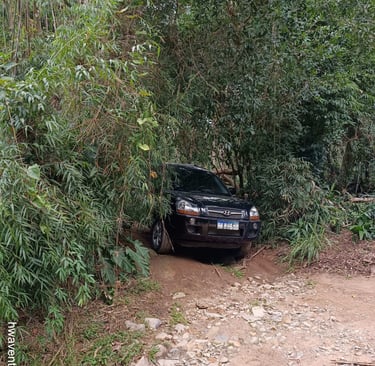 Tuscon, estacionada na Clareira entre a mata