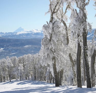 a person on a snowboard in the snow cerro chapelco argentina
