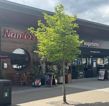 Healthy high-protein food in Crawley Town Centre
